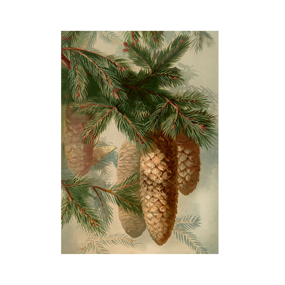 Sköna Ting Grußkarte mit Kuvert 12x17 cm